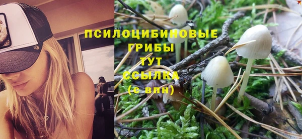 MDMA Premium VHQ Аркадак